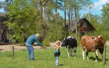 Beste vakantiepark van Nederland - page image