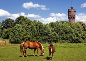 Historische stad Delden (14 km) - page image