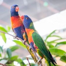 Emsflower Erlebnispark, Duitsland - page image