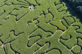 Groot Twentsch maisdoolhof (10 km) - page image