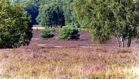 Natuurgebied Springendal (21 km) - page image