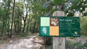 Hof Espelo natuur en spelen (9,5 km) - page image