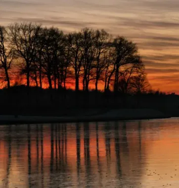 Seizoenen - page image