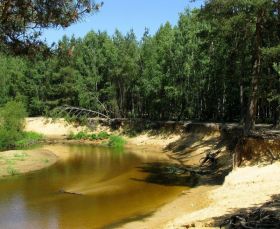 Fietsroutes in de omgeving (0 km) - page image