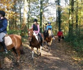 Twents Ruitercentrum Het Hulsbeek - page image