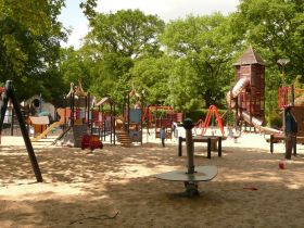 Dierentuin Nordhorn (30 km) - page image